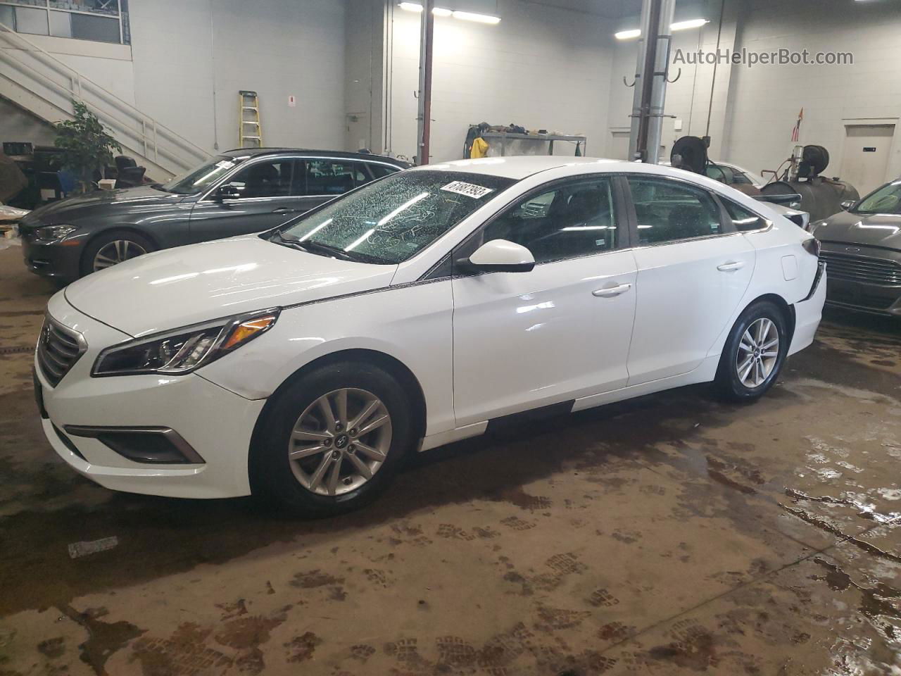 2017 Hyundai Sonata Se White vin: 5NPE24AFXHH592774