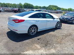 2017 Hyundai Sonata Limited 2.0t Белый vin: 5NPE34AB0HH478700