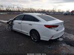 2018 Hyundai Sonata Sport 2.0t White vin: 5NPE34AB2JH693713