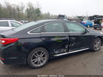 2017 Hyundai Sonata Sport 2.0t Black vin: 5NPE34AB4HH561918