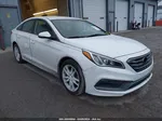 2017 Hyundai Sonata Sport 2.0t White vin: 5NPE34AB5HH457664