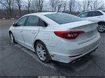 2017 Hyundai Sonata Sport 2.0t White vin: 5NPE34AB5HH457664