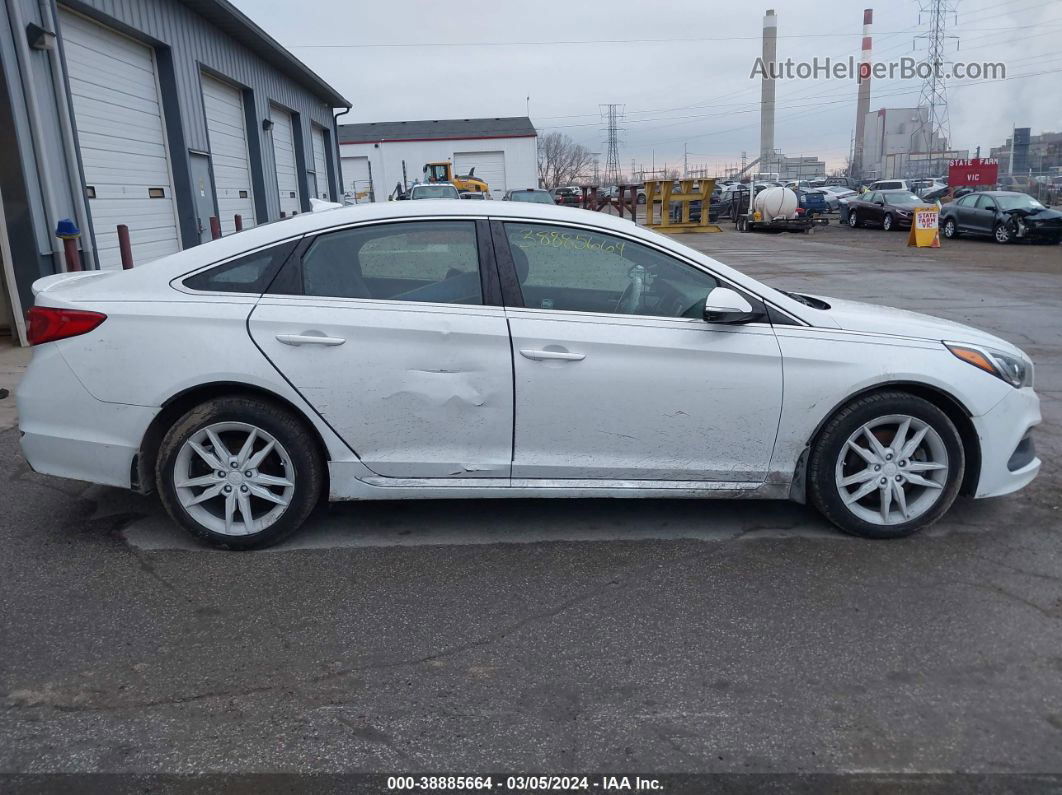 2017 Hyundai Sonata Sport 2.0t White vin: 5NPE34AB5HH457664