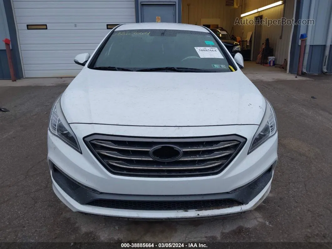 2017 Hyundai Sonata Sport 2.0t White vin: 5NPE34AB5HH457664