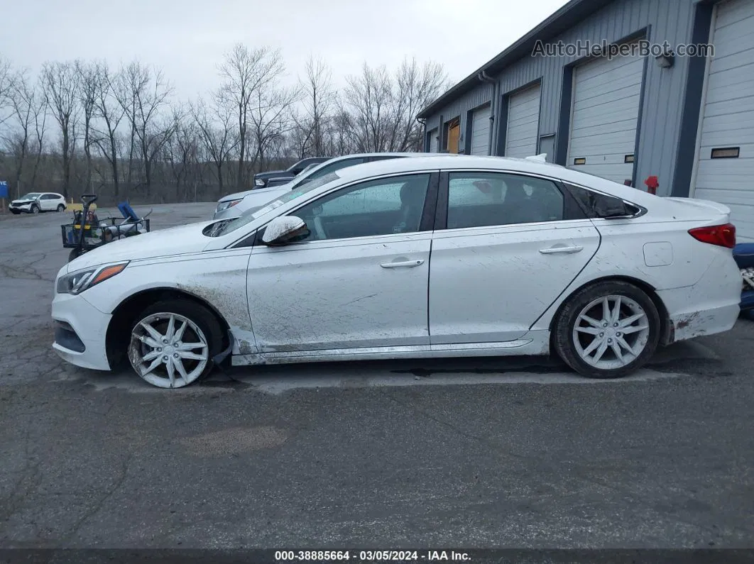 2017 Hyundai Sonata Sport 2.0t White vin: 5NPE34AB5HH457664