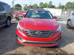 2017 Hyundai Sonata Sport Красный vin: 5NPE34AF0HH443786