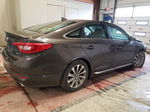 2017 Hyundai Sonata Sport Brown vin: 5NPE34AF0HH540020