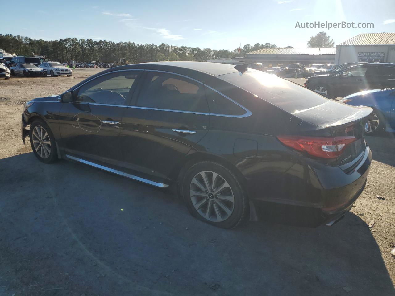 2017 Hyundai Sonata Sport Black vin: 5NPE34AF0HH573177