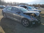 2018 Hyundai Sonata Sport Gray vin: 5NPE34AF0JH633917