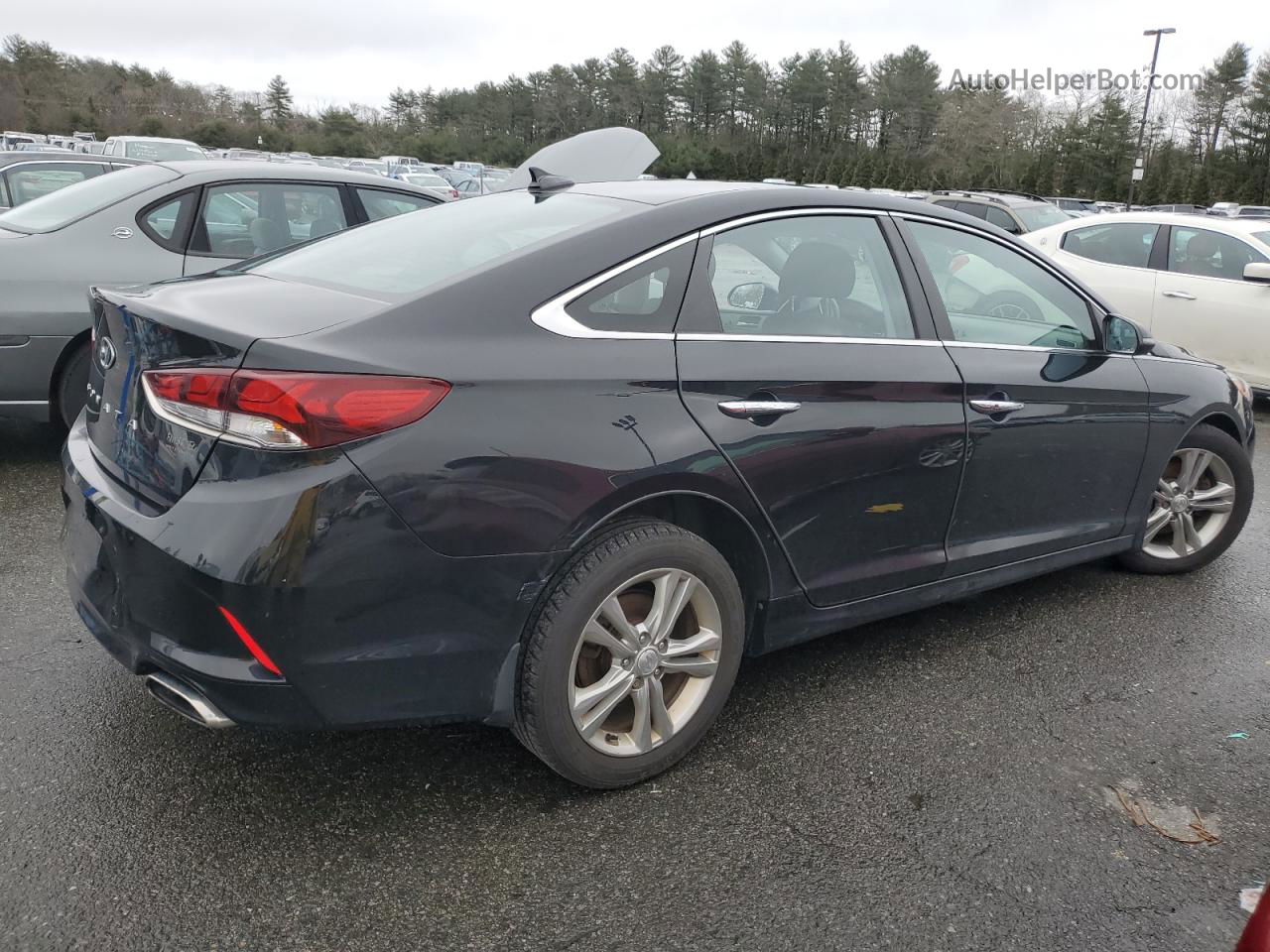 2018 Hyundai Sonata Sport Black vin: 5NPE34AF0JH667050