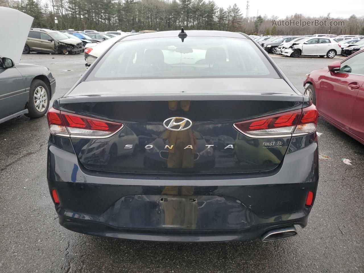 2018 Hyundai Sonata Sport Black vin: 5NPE34AF0JH667050