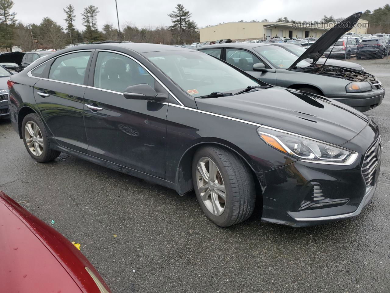 2018 Hyundai Sonata Sport Black vin: 5NPE34AF0JH667050