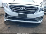 2017 Hyundai Sonata Sport White vin: 5NPE34AF1HH560342