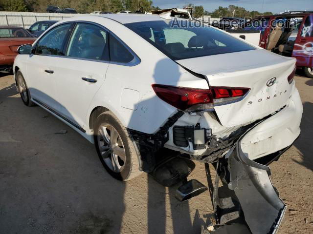 2018 Hyundai Sonata Sport White vin: 5NPE34AF1JH646854