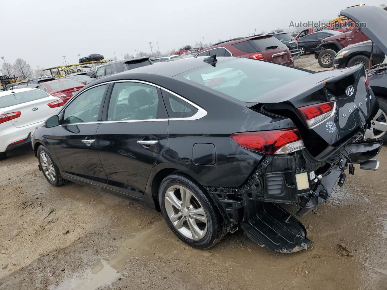 2018 Hyundai Sonata Sport Black vin: 5NPE34AF2JH617962