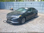 2017 Hyundai Sonata Sport Black vin: 5NPE34AF3HH453972