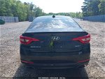 2017 Hyundai Sonata Sport Black vin: 5NPE34AF3HH453972