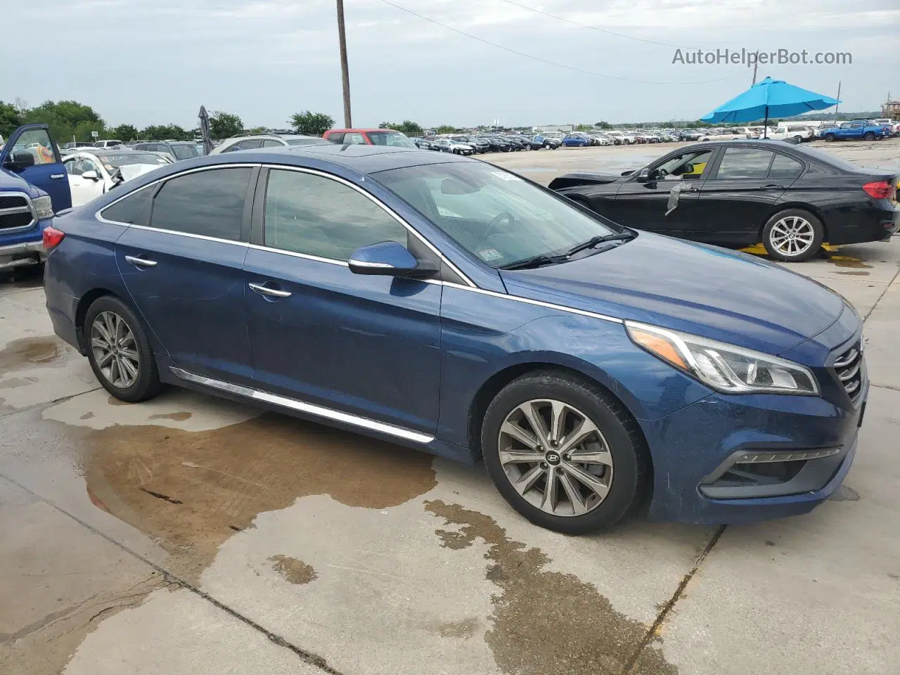 2017 Hyundai Sonata Sport Blue vin: 5NPE34AF3HH455561