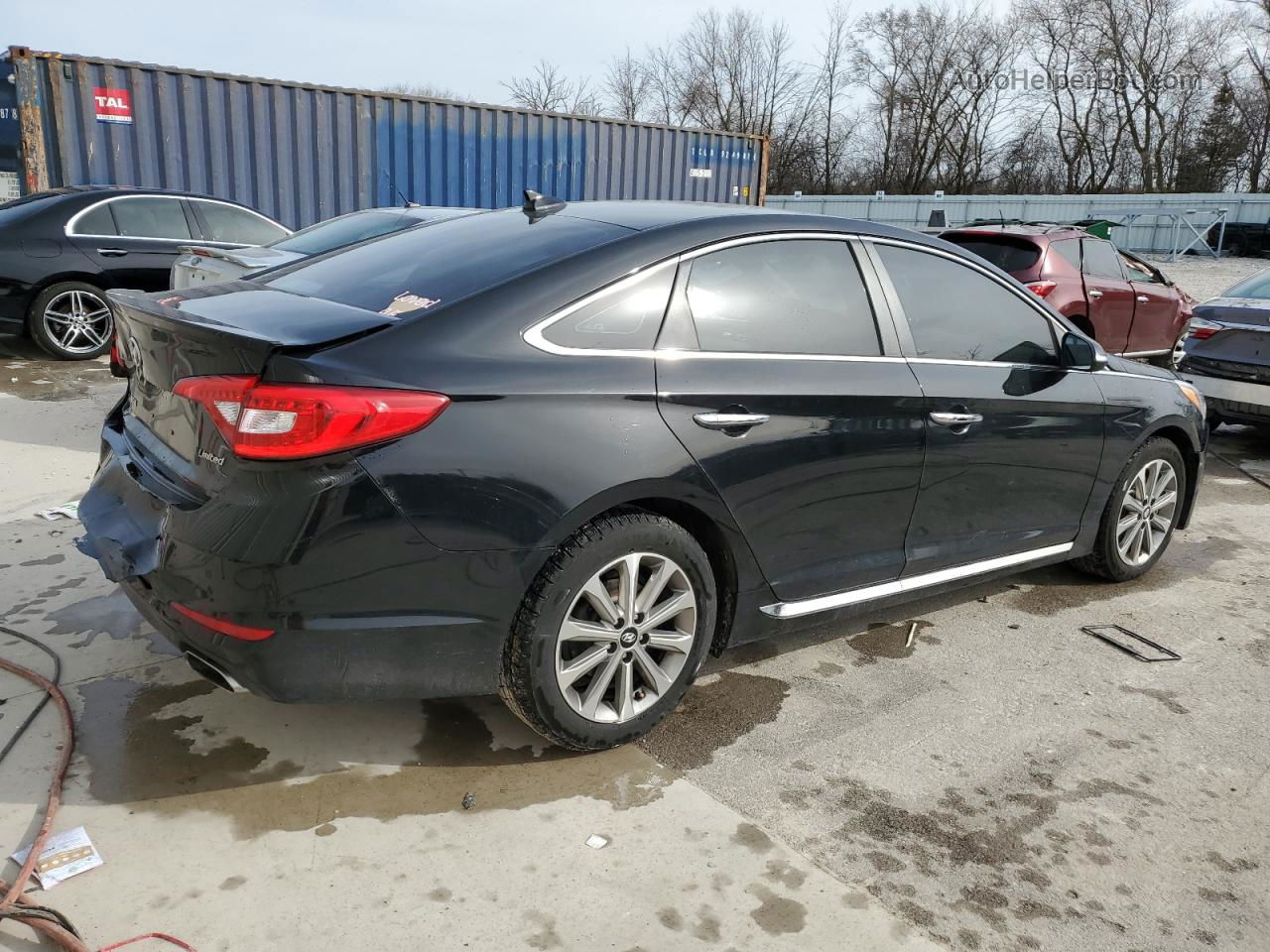 2017 Hyundai Sonata Sport Black vin: 5NPE34AF3HH562867