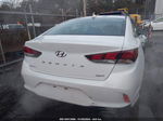 2018 Hyundai Sonata Sport White vin: 5NPE34AF3JH628405