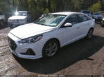 2018 Hyundai Sonata Sel White vin: 5NPE34AF3JH635905