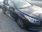 2017 Hyundai Sonata Sport Black vin: 5NPE34AF4HH454810