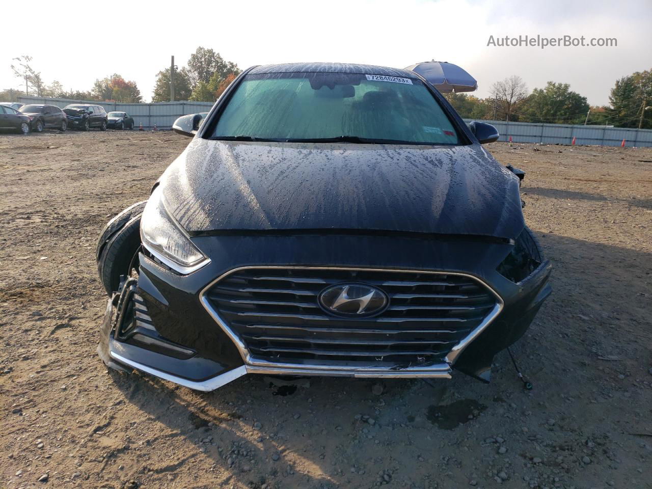 2018 Hyundai Sonata Sport Black vin: 5NPE34AF4JH644354