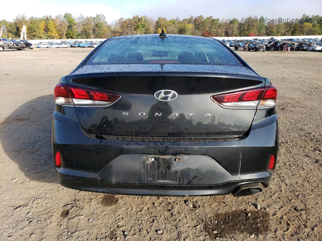 2018 Hyundai Sonata Sport Black vin: 5NPE34AF4JH644354