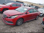 2015 Hyundai Sonata Sport Red vin: 5NPE34AF5FH090278