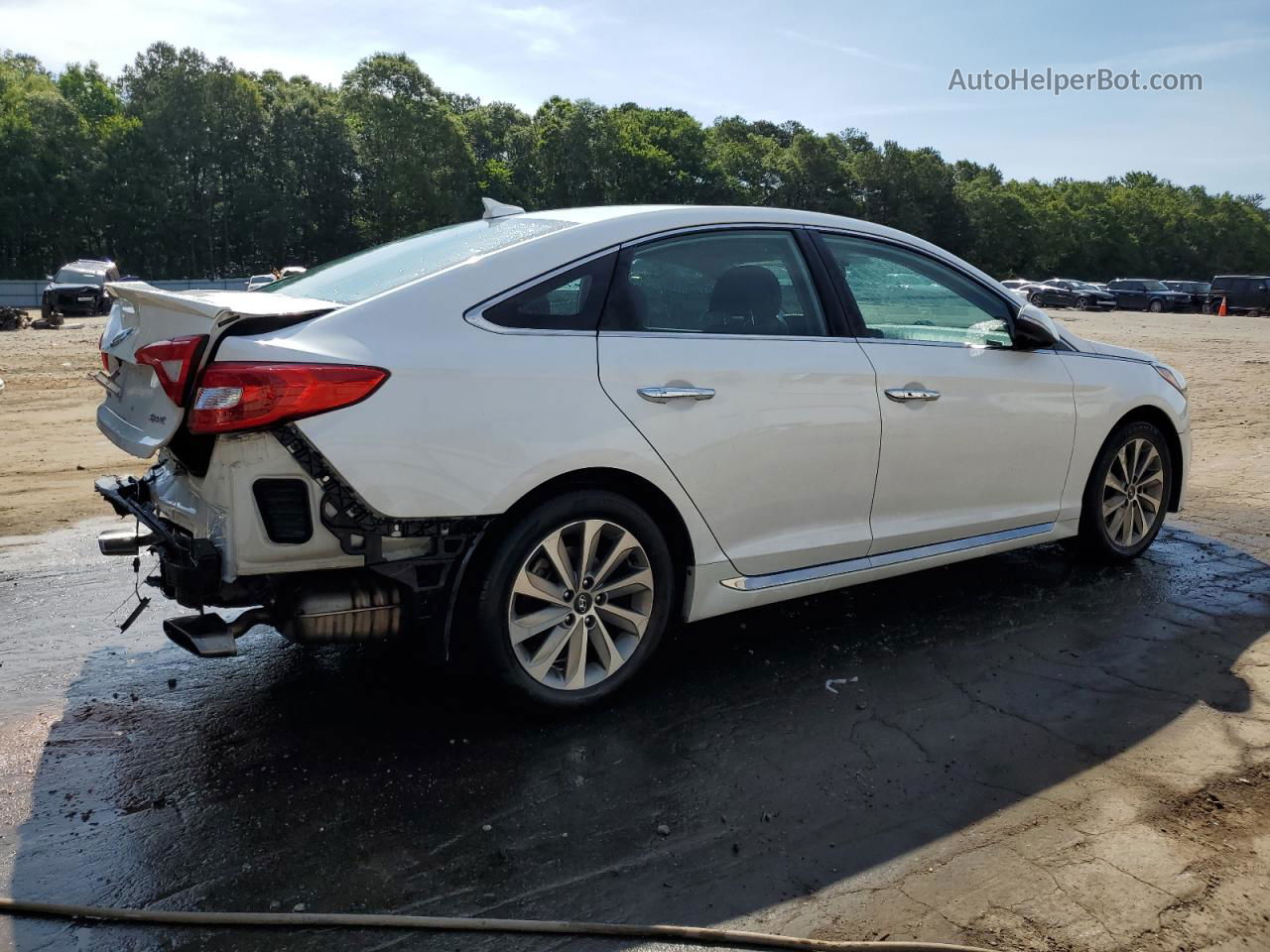 2017 Hyundai Sonata Sport White vin: 5NPE34AF5HH458283