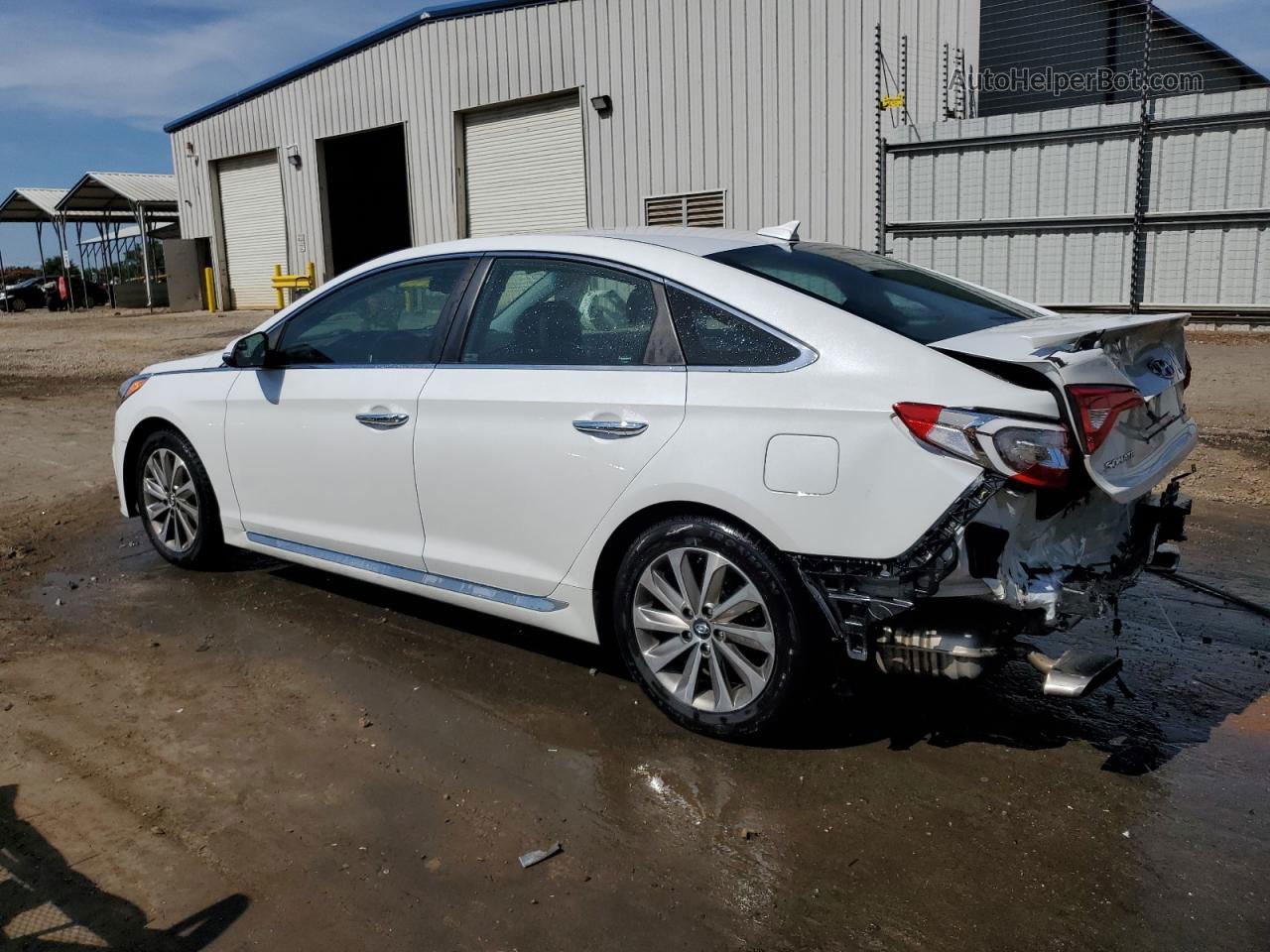 2017 Hyundai Sonata Sport White vin: 5NPE34AF5HH458283