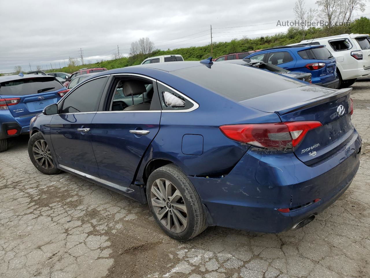 2017 Hyundai Sonata Sport Blue vin: 5NPE34AF5HH522905