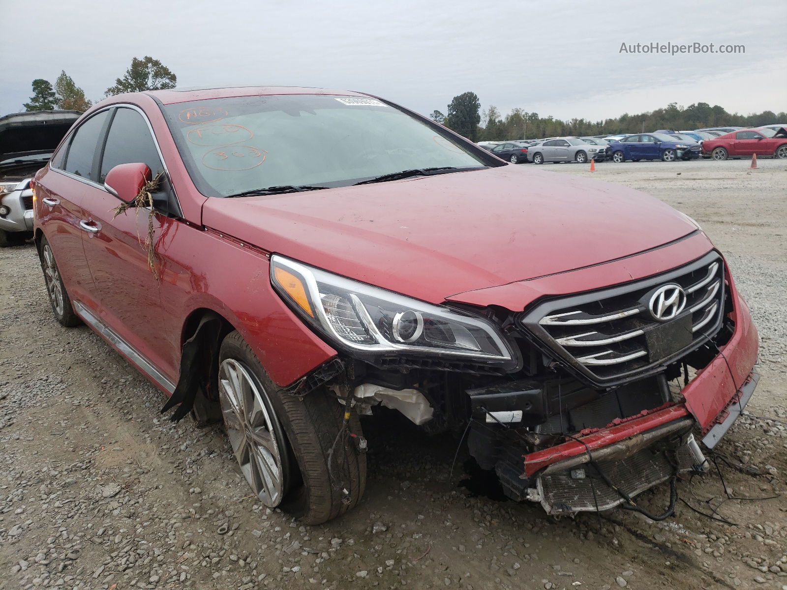 2017 Hyundai Sonata Sport Red vin: 5NPE34AF5HH570940