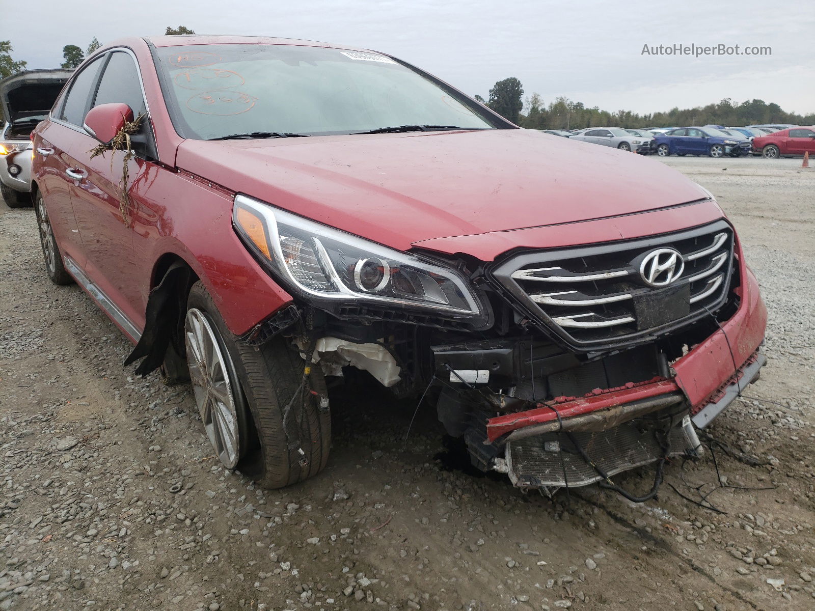 2017 Hyundai Sonata Sport Red vin: 5NPE34AF5HH570940