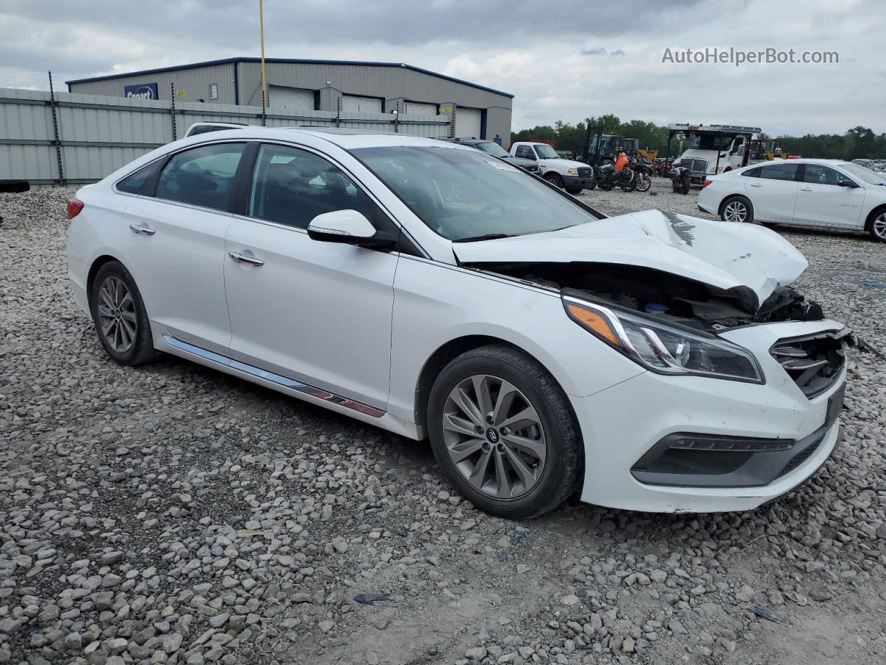 2017 Hyundai Sonata Sport White vin: 5NPE34AF5HH576625