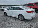 2017 Hyundai Sonata Sport White vin: 5NPE34AF5HH576625