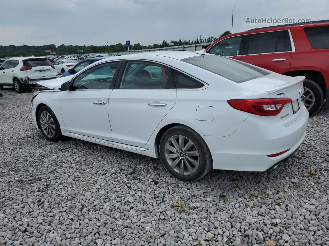 2017 Hyundai Sonata Sport White vin: 5NPE34AF5HH576625