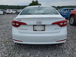 2017 Hyundai Sonata Sport White vin: 5NPE34AF5HH576625