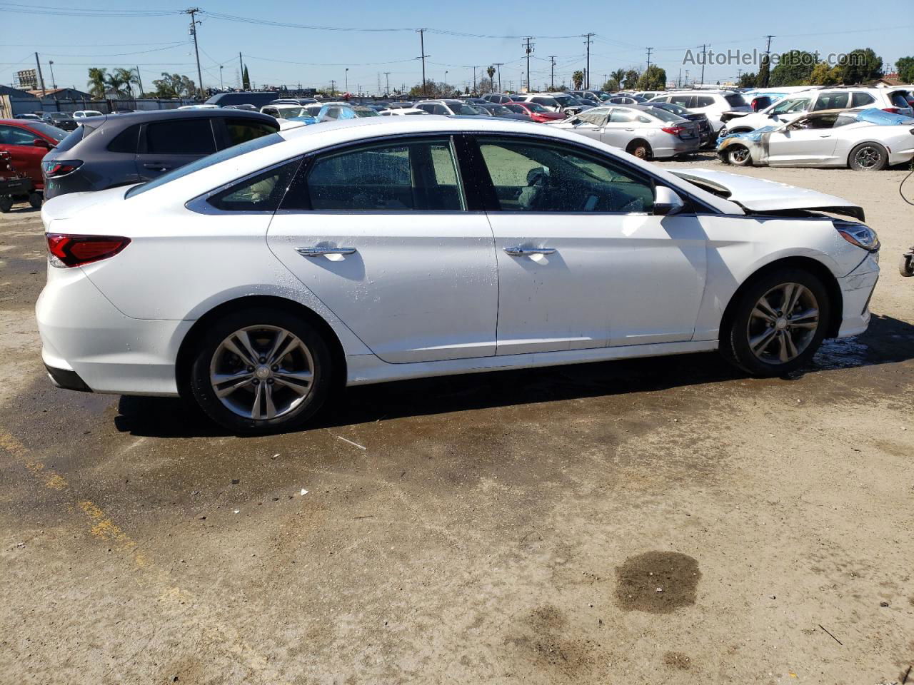 2018 Hyundai Sonata Sport White vin: 5NPE34AF5JH652401