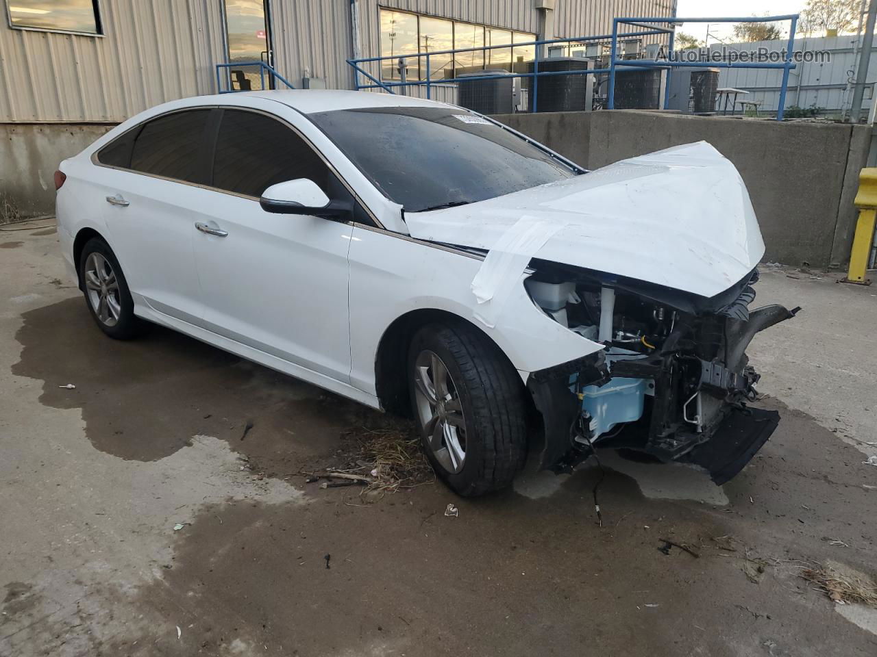 2018 Hyundai Sonata Sport White vin: 5NPE34AF5JH661907