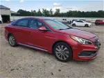 2017 Hyundai Sonata Sport Red vin: 5NPE34AF6HH500430