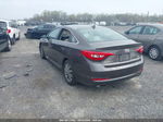 2017 Hyundai Sonata Sport Brown vin: 5NPE34AF6HH520189