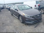 2017 Hyundai Sonata Sport Brown vin: 5NPE34AF6HH520189