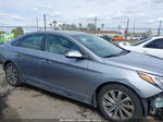 2017 Hyundai Sonata Sport Gray vin: 5NPE34AF6HH586015