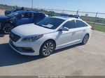 2017 Hyundai Sonata Sport Белый vin: 5NPE34AF7HH551547