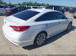 2017 Hyundai Sonata Sport Белый vin: 5NPE34AF7HH551547