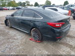 2015 Hyundai Sonata 2.4l Sport Black vin: 5NPE34AF8FH228038