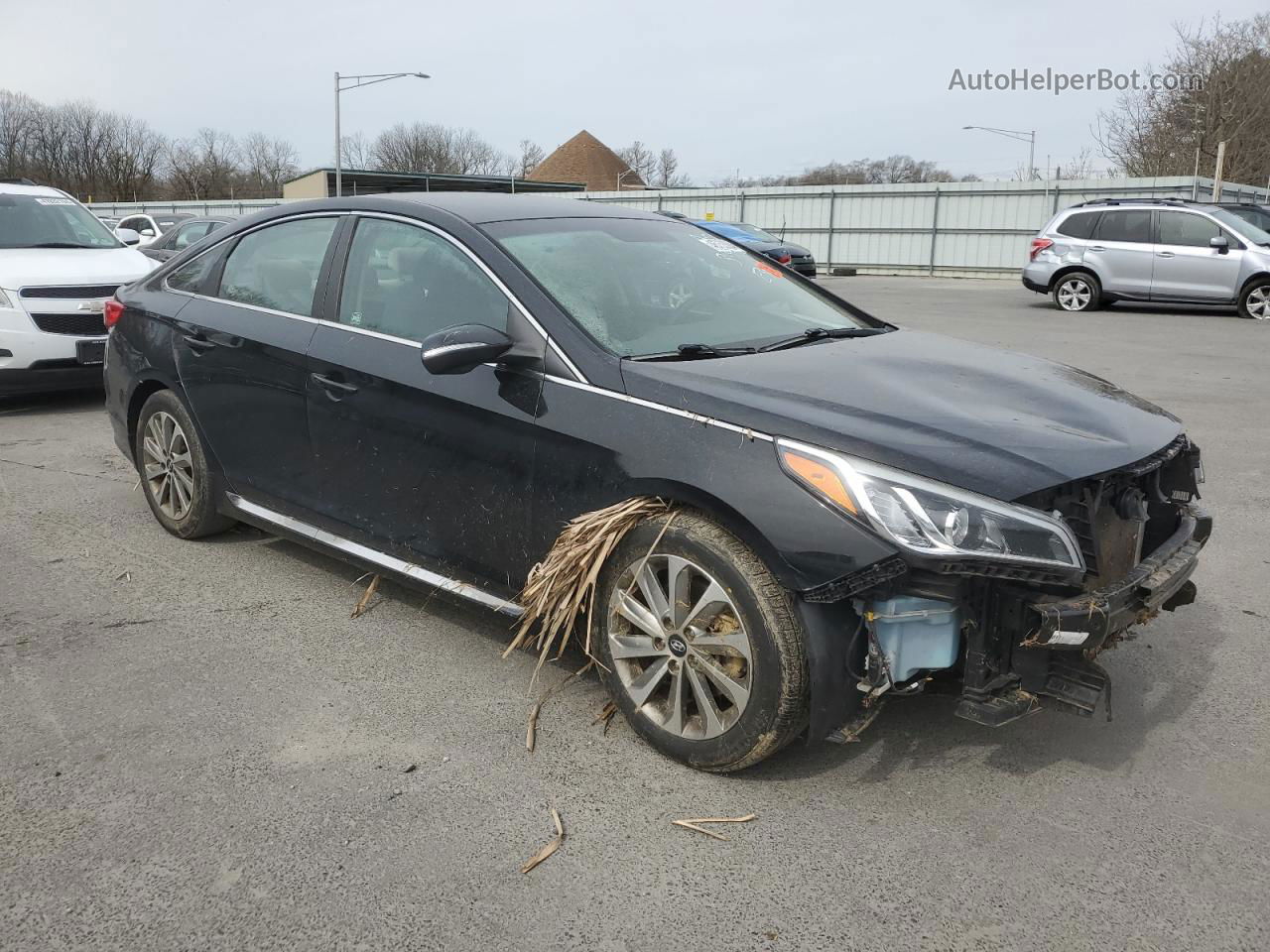 2017 Hyundai Sonata Sport Black vin: 5NPE34AF8HH495344