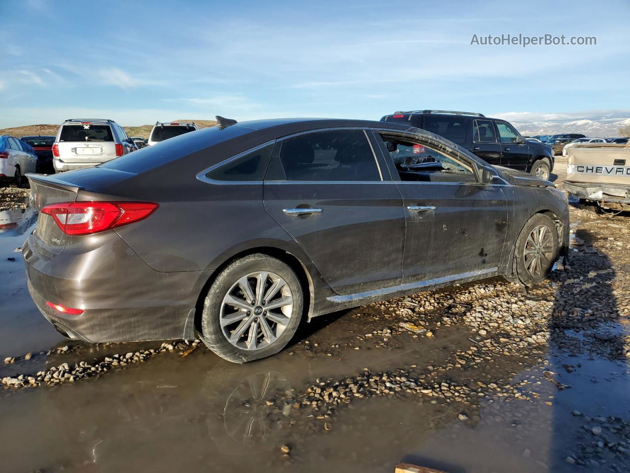 2017 Hyundai Sonata Sport Black vin: 5NPE34AF8HH555705