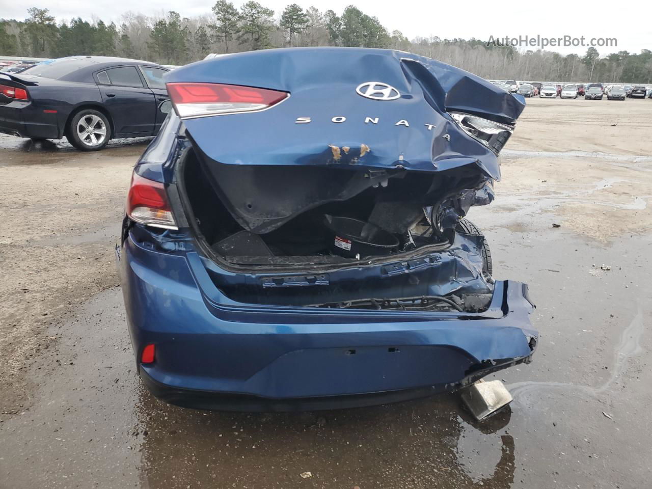 2018 Hyundai Sonata Sport Blue vin: 5NPE34AF8JH610871